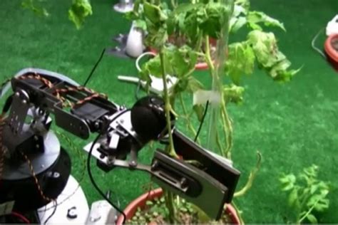 Green Thumbed Robots The Future Of Sustainable Precision Agriculture