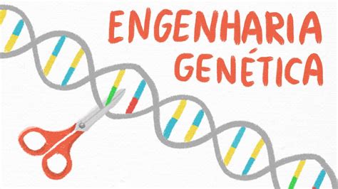 Organismos Genéticamente Modificados E Transgénicos Enovação Da