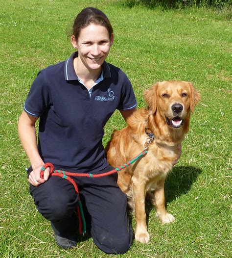 How To Become A Guide Dog Trainer