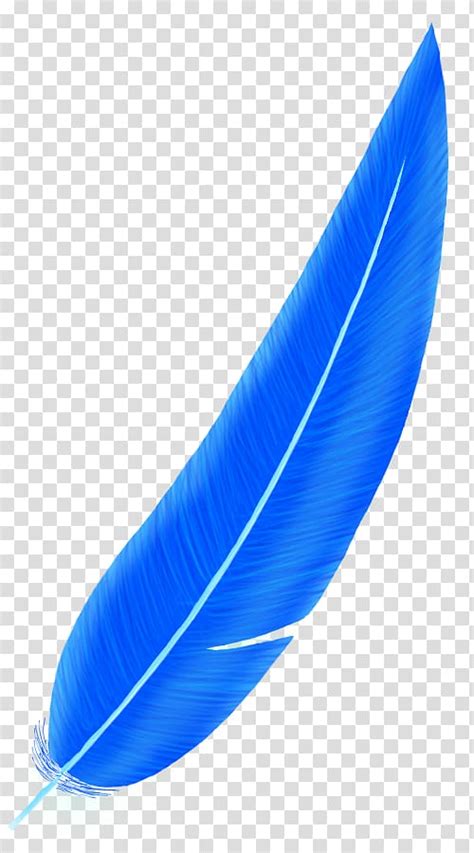 Blue Feather Clipart 10 Free Cliparts Download Images On Clipground 2024