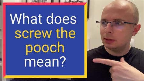 What Does Screw The Pooch Mean Find Out Definition And Meaning Youtube