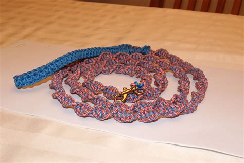 Maybe you would like to learn more about one of these? Lightweight Helix Paracord Dog Leash - Begables Treats