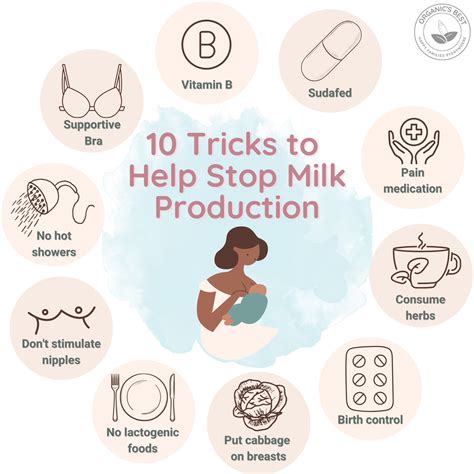 Tips For How To Stop Milk Production If Not Breastfeeding