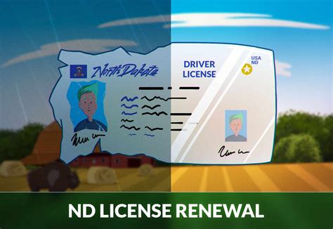 North Dakota Drivers License Renewal Guide Zutobi