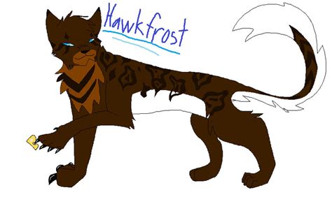 Hawkfrost Ref By Warriorfanatic99 On Deviantart