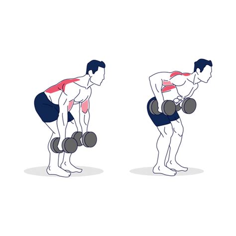 How To Do Dumbbell Bent Over Rows With Proper Form Simply Fitness