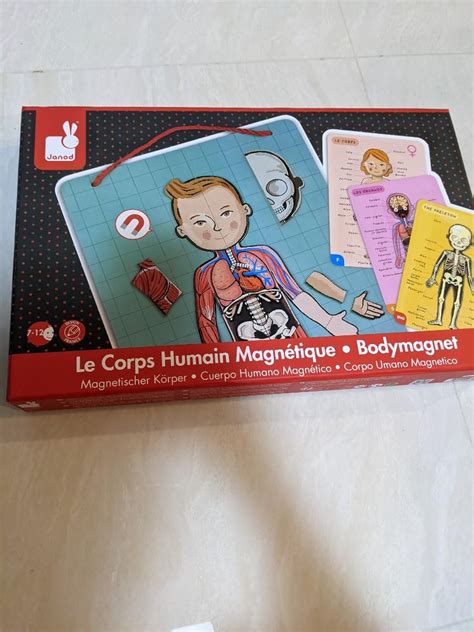 Janod Human Body Magnet Set Hobbies And Toys Toys And Games On Carousell