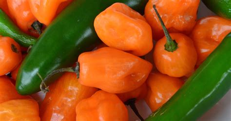 Hot peppers are big business