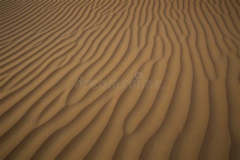 Desert Sand Textures Stock Image Image Of Arab Colors 80150375