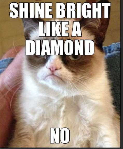 Pin By Jennifer Heeter On Grumpy Cat Grumpy Cat Humor Grumpy Cat