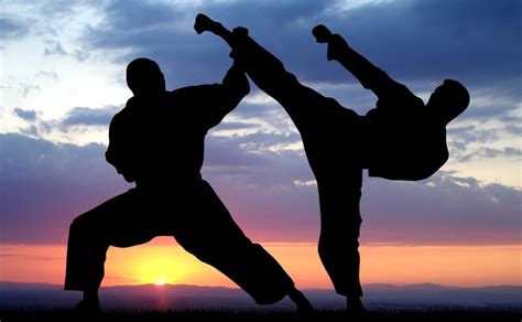 Discover The Most Practiced Martial Arts In The World Of Sports