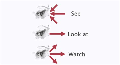 How To Use See Look At And Watch In English Poligo