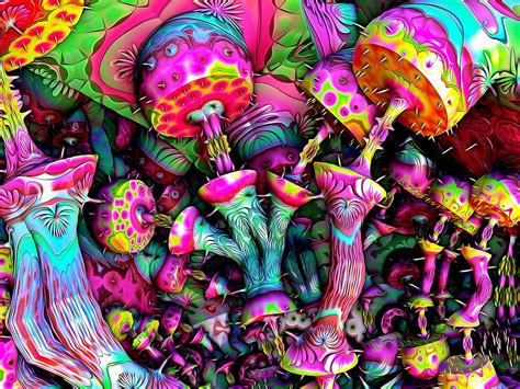 Psychedelics Mushrooms