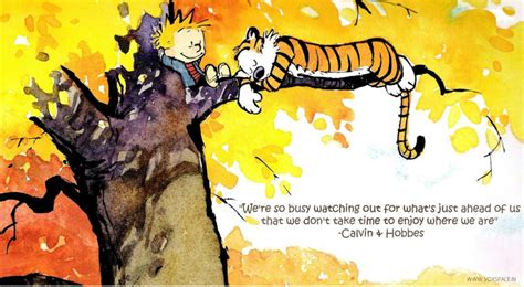 The Best Calvin And Hobbes Quotes For Basically Everything In Life