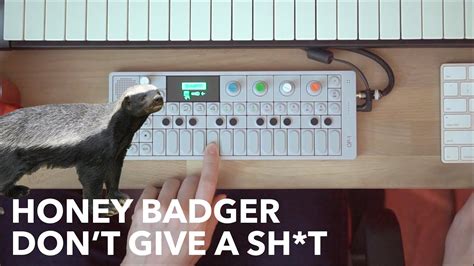 Honey Badger Dont Care Remixing The Crazy Nastyass Honey Badger By