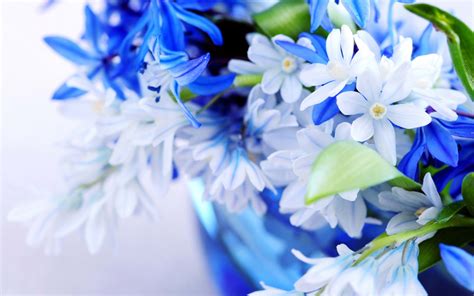 38 Blue Wallpaper With White Flowers Wallpapersafari