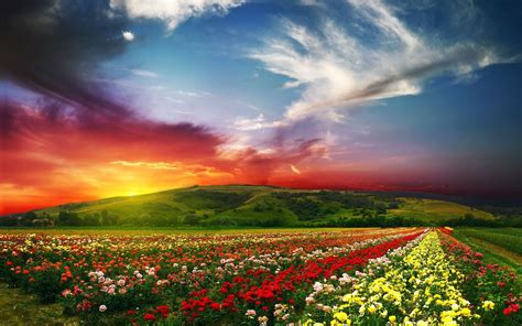 Beautiful Landscape Scenery Rose Valley Countryside