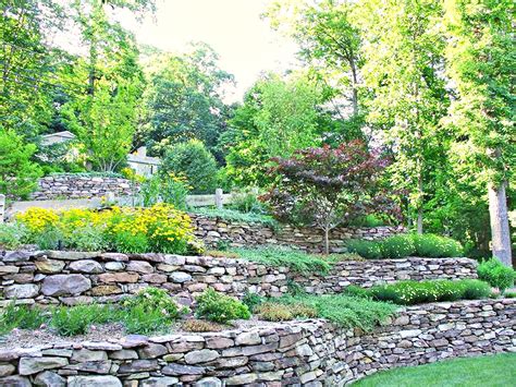 View How To Landscape A Sloped Backyard Png