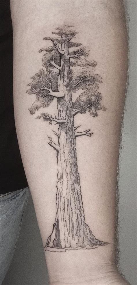 27 Beautiful Tree Tattoos A Guide To Their Meanings