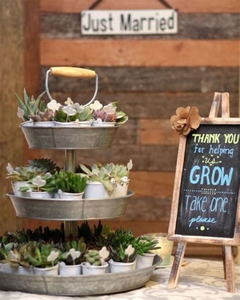 Succulent Bridal Shower With Pictures Succulents Network Rustic