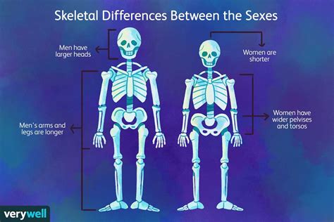 ความแตกต่างระหว่างเพศในสุขภาพกระดูก Medthai