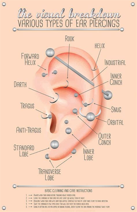 different ear piercings chart