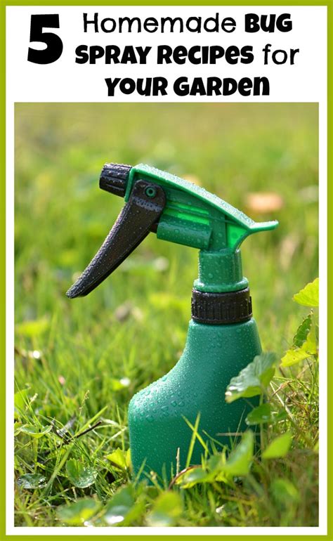 Today, the need to protect yourself from biting insects is greater than ever. 5 Homemade Bug Spray Recipes for Your Garden