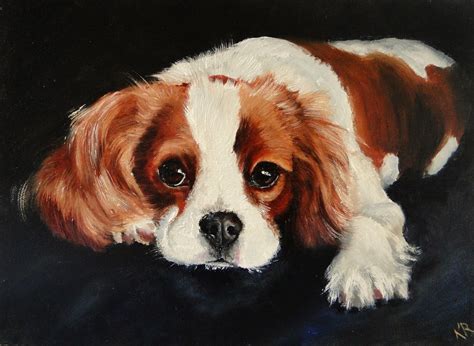 Dog And Pet Paintings A Little Cavalier