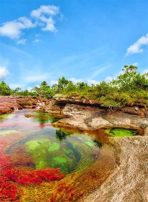 Caño Cristales Colombia 12 Awesome Places To Travel In