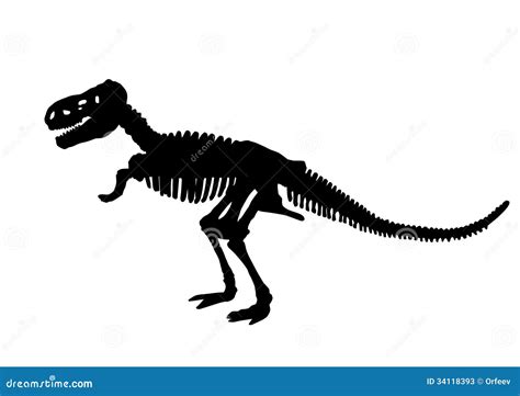 Dinosaur Skeleton Silhouette Stock Photos Image 34118393