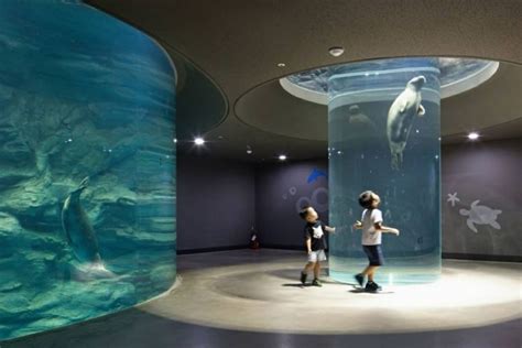 10 Best Aquariums In The World 2021 Pricesize And More