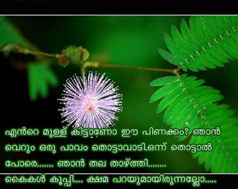Download image malayalam sad love quotes pc, android, iphone and ipad. Malayalam Love Quotes for Facebook, whatsapp | Malayalam ...