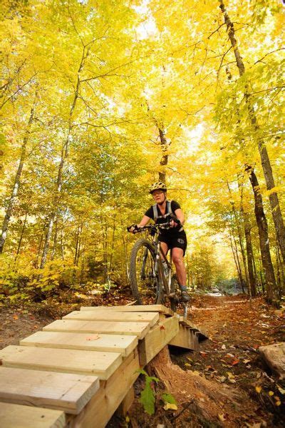 20 Of The Most Scenic Mountain Bike Trails In The Eastern Usa