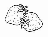 Strawberry Coloring Pages Color Print Kids sketch template