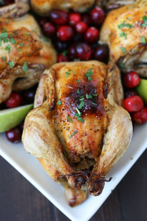 With cornish hens being a younger bird, theyre smaller and easier to manage than your average whole chicken. Cornish Hen with Apple Cranberry Stuffing | Recipe ...