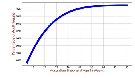 How Much Should Australian Shepherd Weigh Australian Shepherd Weight Calculator