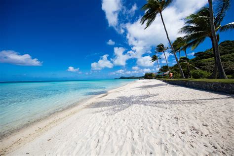 So Kommt Jeder Von Euch Günstig Nach Bora Bora Holidayguru