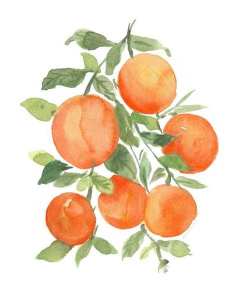 Watercolor Orange Botanical Oranges Wall Art Watercolor Etsy
