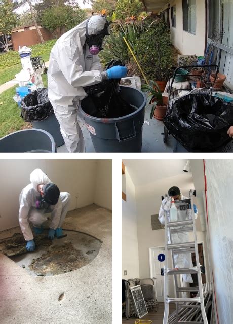Biohazard Cleanup And Crime Scene Cleaners The Bioclean Team