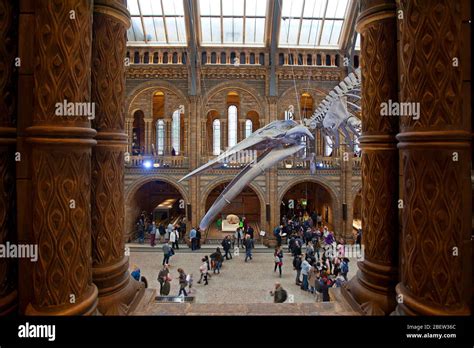 Natural History Museum South Kensington London Stock Photo Alamy