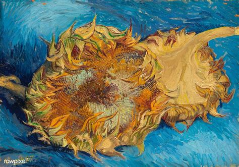 Sunflowers 1887 By Vincent Van Gogh Original From The Met Museum