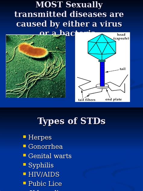 Std Sexually Transmitted Infection Hivaids