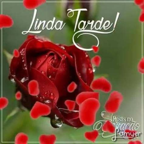 Boa Tarde Para Alguem Especial