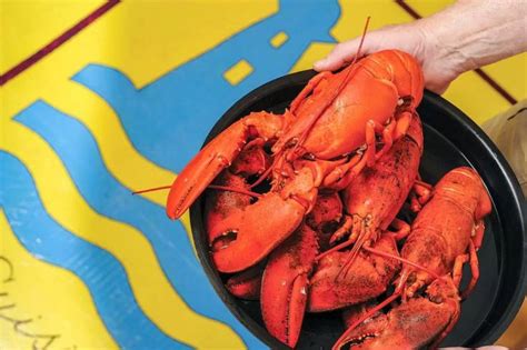 12 Lobster Experiences In Nova Scotia So Dreamy Youll Pinch Yourself