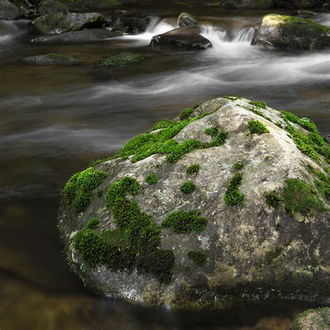 Mossy Boulder In Mountain Stream Photograph By John Stephens