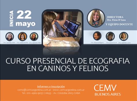 Curso Presencial De Ecografía En Caninos Y Felinos Cemv Argentina