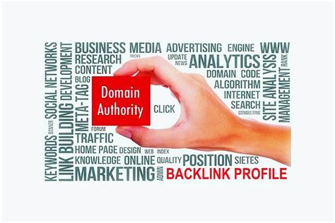 How Authoritative Site Backlinks Build Domain Authority