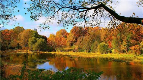 Colorful Autumn Trees Reflection On River In Forest Hd Forest