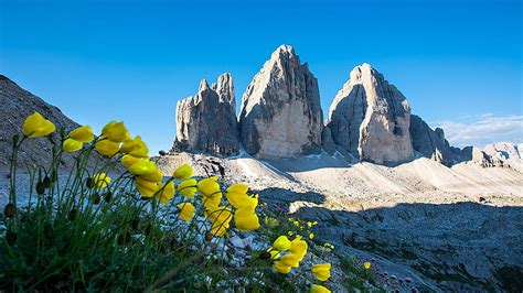 Three Peaks Of Lavaredo Italy Mountains Peaks Flowers Yellow