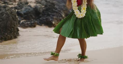 Shot Of A Hula Dancers Legs With A Ti Leaf Skirt And Ankle Haku Leis